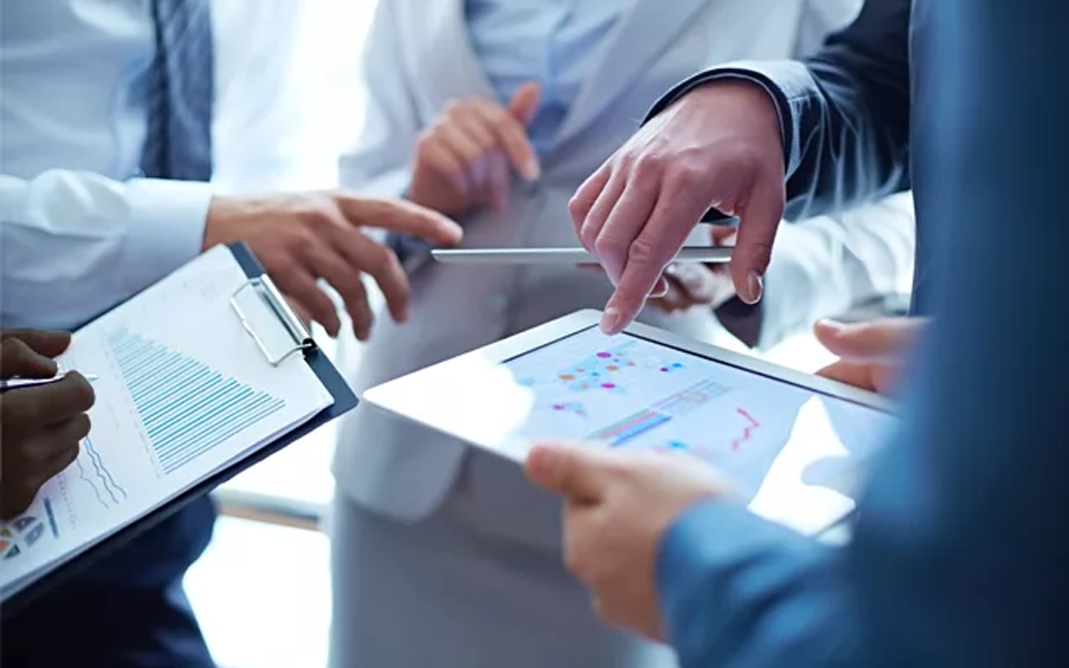 Strategic Consulting & Institutional Support